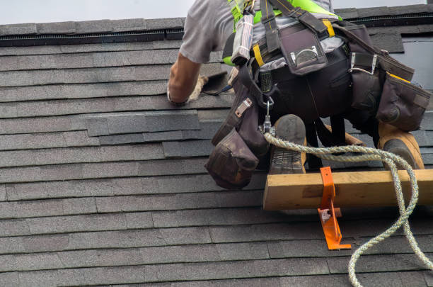 Roof Gutter Cleaning in Palos Verdes Estates, CA